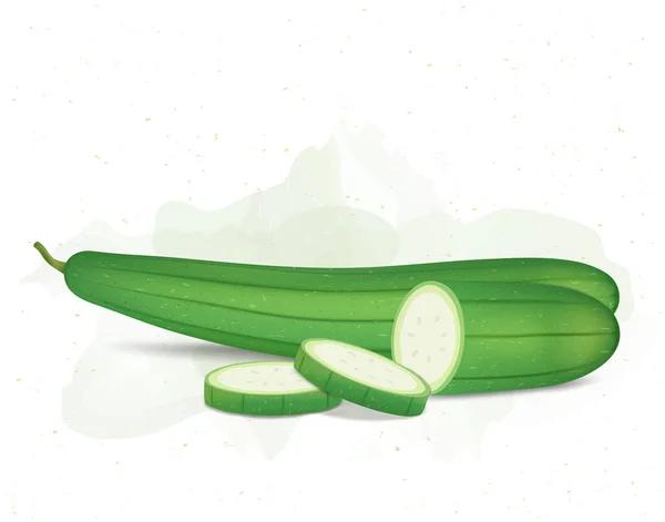 Esponja Gourd Ilustração Vetor Vegetal Com Fatias Legumes Fundo Branco — Vetor de Stock