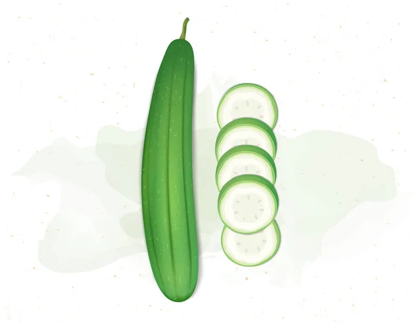 Éponge Gourd Légumes Verts Avec Des Tranches Gourde Éponge Vue — Image vectorielle