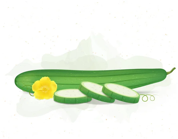 Sponge Gourd Vegetable Vector Illustration Guard Slices Yellow Flower — Stok Vektör