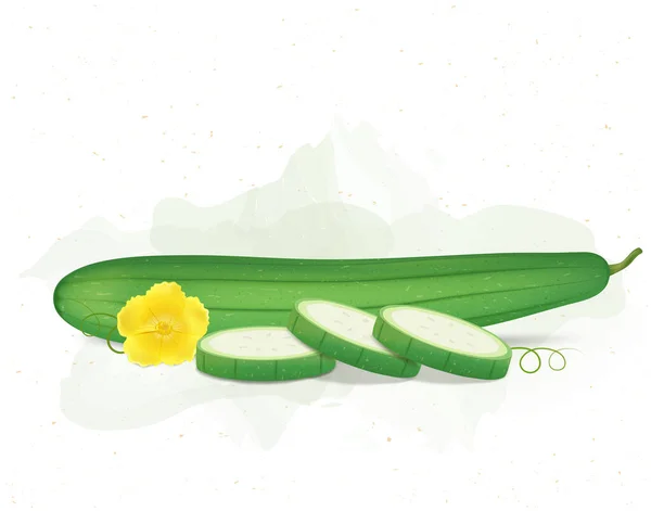 Esponja Gourd Ilustração Vetor Vegetal Com Fatias Guarda Flor Amarela — Vetor de Stock