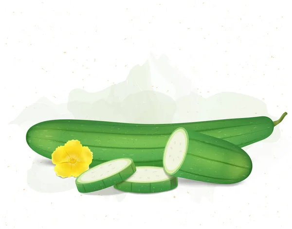 Vector Illustration Green Sponge Gourd Vegetable Gourd Slices — Wektor stockowy