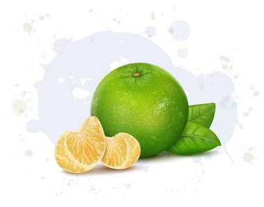Meyve dilimleri ve yeşil yapraklı tatlı limonun vektör çizimi