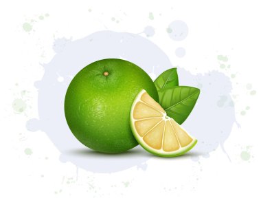 Yeşil tatlı limon meyve vektör illüstrasyonu meyve dilimleri ve yeşil yapraklarla