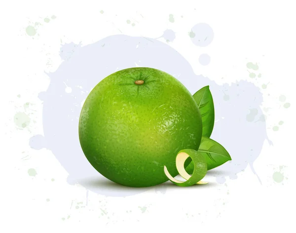 フレッシュグリーン甘いレモンフルーツベクトルイラスト上の白い背景 — ストックベクタ