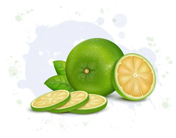 Green Sweet Lemon Fruit Masambi Dengan Irisan Bulat Vektor Ilustrasi - Stok Vektor