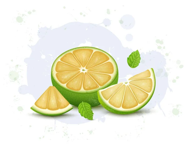 Half Piece Mousami Fruit Vector Illustration Fruit Slices Mint Leaves — ストックベクタ