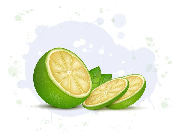 Sweet Lemon Fruit Vector Illustration Mit Fruchtscheiben Isoliert Auf Weißem — Stockvektor