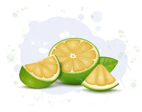 Half Piece Sweet Lemon Fruit Vector Illustration Fruit Slices Green — Stock Vector