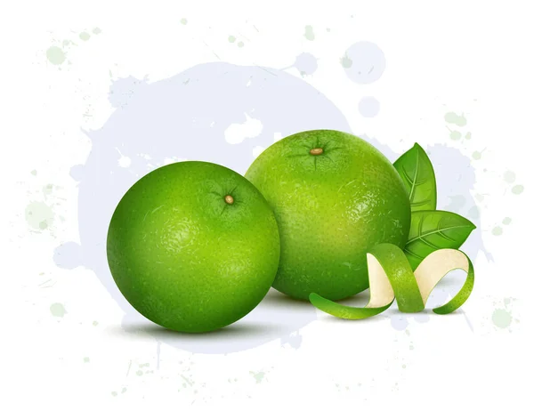 Sada Dvou Sladkých Citron Ovoce Vektor Ilustrace Zeleným Listem — Stockový vektor