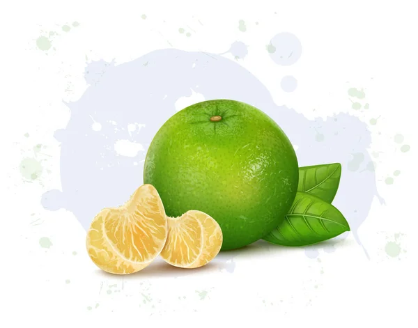 Vector Illustration Sweet Lemon Fruit Slices Green Leaves — ストックベクタ