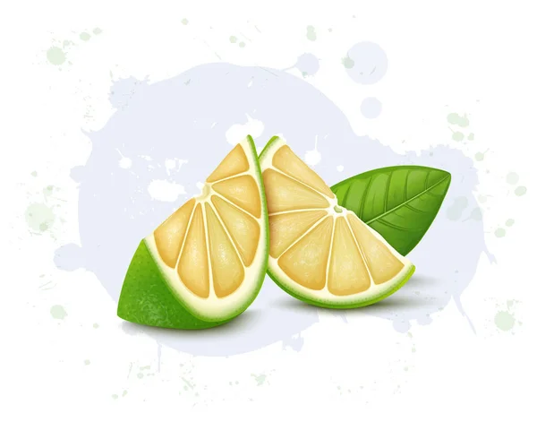 Illustration Vectorielle Sweet Lemon Slices Avec Feuille Verte — Image vectorielle