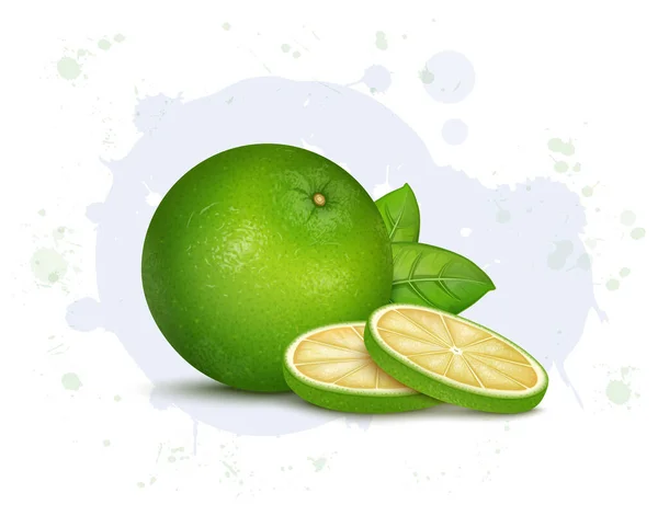 Sweet Lemon Fruit Vector Illustration Slices Green Leaves — Vector de stock