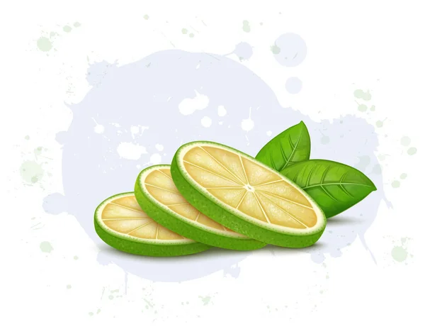 Sweet Lemon Fruit Vector Illustration Half Piece Fruit Slices — Stok Vektör