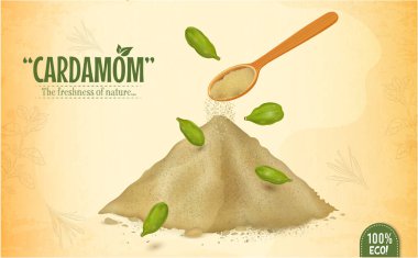 Yeşil kakule toz vektör çizimi yeşil kakule baharatları ile kahverengi arka planda izole