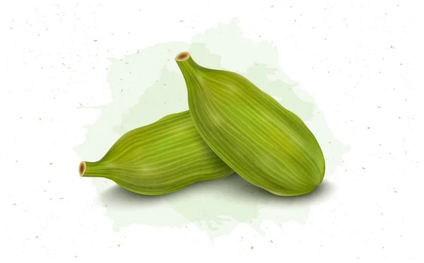 Set Two Green Cardamom Vector Illustration — Image vectorielle