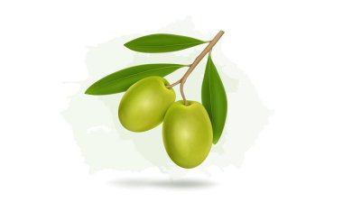 Yapraklı lezzetli yeşil zeytinler, beyaz arka planda izole edilmiş.