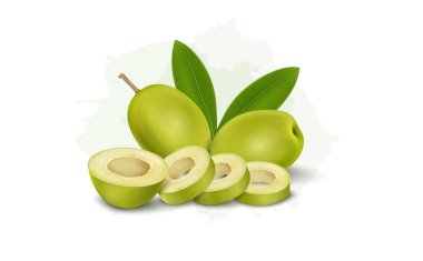 Zeytin halkaları ve yeşil yapraklı yeşil zeytin vektörü çizimi
