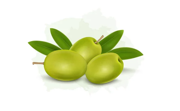 Green Olives Leaves Isolated White Background Vector Illustration — стоковый вектор