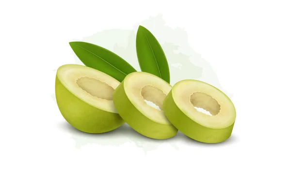 Medio Pedazo Aceituna Verde Con Anillos Oliva Vector Ilustración — Vector de stock