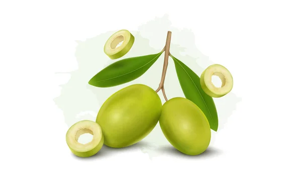 Olive Branch Two Delicious Green Olives Olive Rings Isolated White — Archivo Imágenes Vectoriales