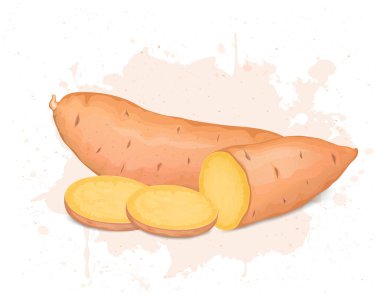 Yarım parça tatlı patates ve dilimlenmiş vektör resimli tatlı patates kökü sebzesi.
