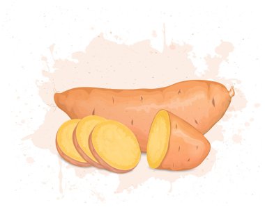 Yarım parça tatlı patates ve dilimlenmiş vektör resimli tatlı patates kökü sebzesi.