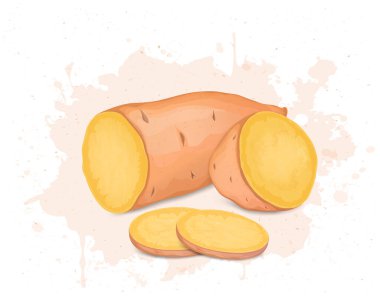 Yarım parça kök sebze, patates dilimli tatlı patates vektör çizimi.