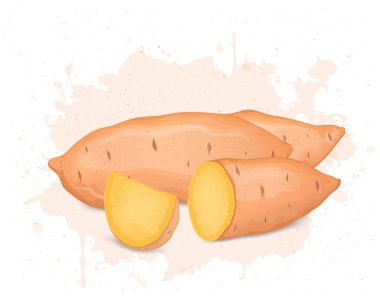 Tatlı patates kökü sebzesi ve yarım parça tatlı patates vektörü çizimi.