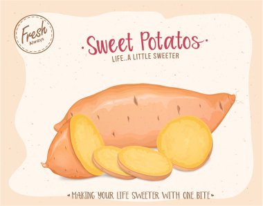 Tatlı patates dilimli patates kökü sebzesi vektör illüstrasyonlu.