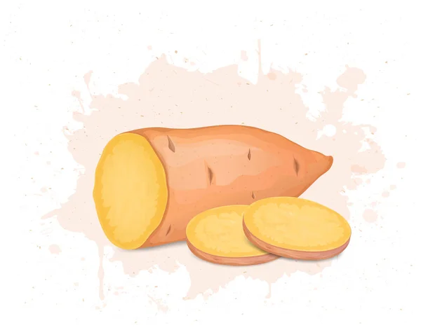 Половина Шматка Кореня Солодкої Картоплі Овочеві Круглі Скибочки Картоплі Векторні — стоковий вектор