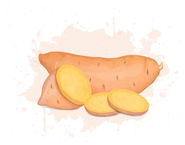 Sweet Potato Root Vegetable Half Pieces Sweet Potato Slices Vector — Stockový vektor