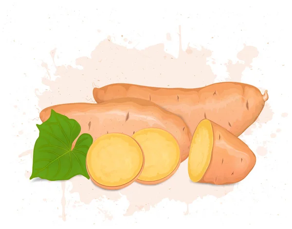 Słodkie Ziemniaki Root Warzyw Plasterkami Słodkich Warzyw Ziemniaczanych Zielonych Liści — Wektor stockowy