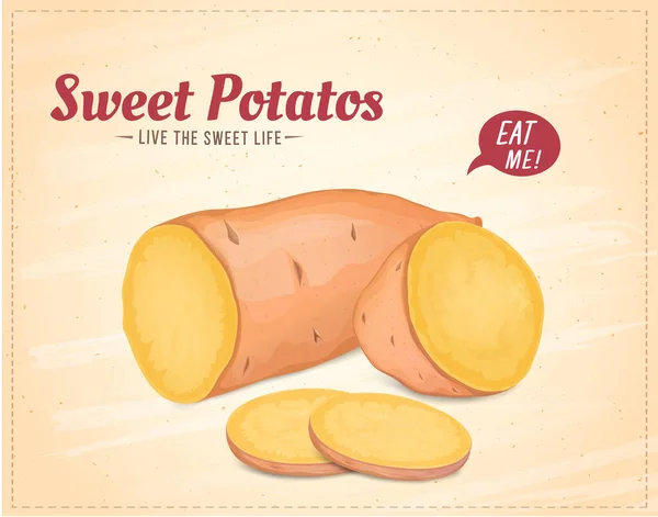 Sweet Potato Root Plantaardige Vector Illustratie Bruine Achtergrond — Stockvector