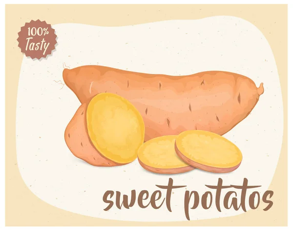 一种甜甜的马铃薯根茎蔬菜 带有切面矢量图解 — 图库矢量图片