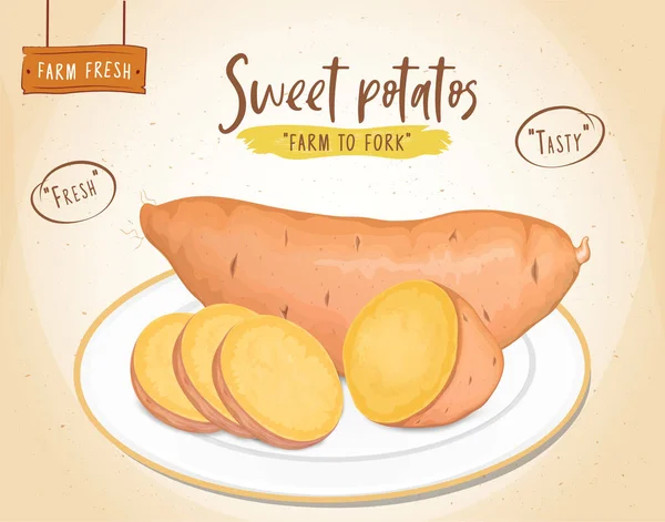 Tatlı patates kökü sebze ve tatlı patates parçaları kahverengi arkaplan vektörü çizimi