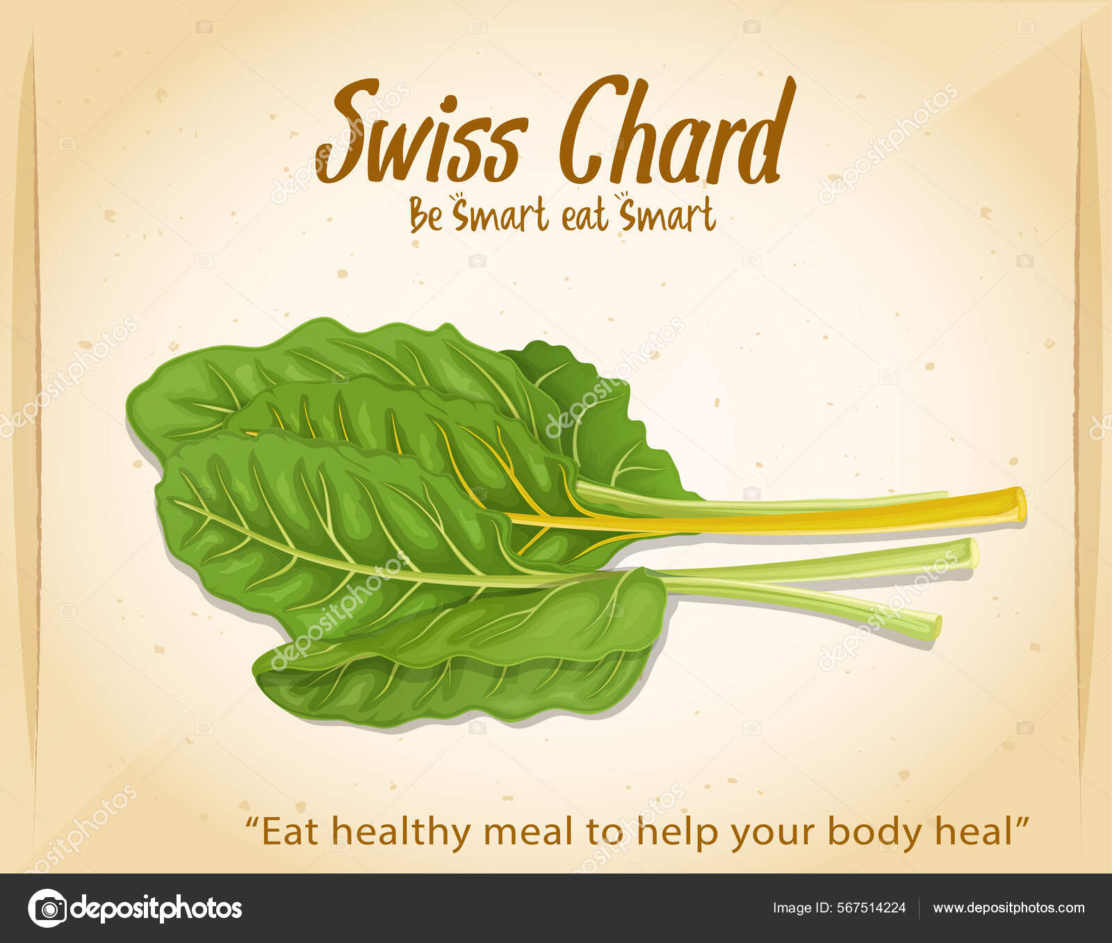 Swiss Chard Green Leafy Vegetable Vector Illustration Light Brown