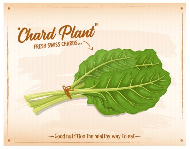 Bir grup İsviçre pazarı vektör illüstrasyonunu terk eder 