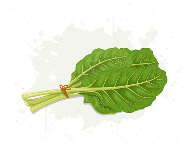 Ένα Μάτσο Ελβετικά Φυλλώδη Πράσινα Λαχανικά Εικονογράφηση Διάνυσμα — Διανυσματικό Αρχείο