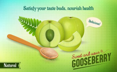 Hint bektaşi üzümlü yeşil meyve vektör çizimi yeşil arka planda amla pudrası ile