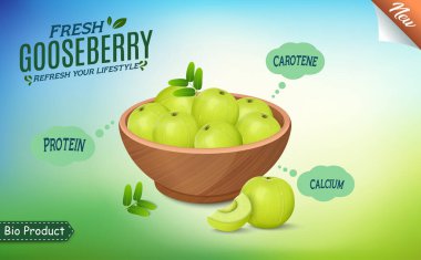 Açık yeşil arka planda izole edilmiş Hint bektaşi üzümü (amla) meyve vektör illüstrasyonuyla dolu ahşap bir kase.