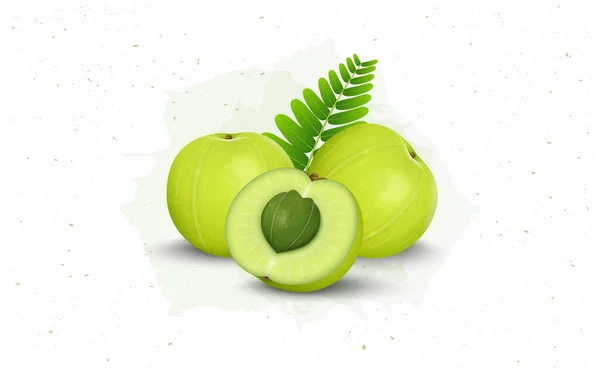 Amla Green Fruit Vector Illustration Half Slices Fruit — Vetor de Stock