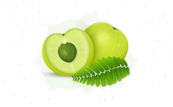 Amla Indiase Kruisbes Vruchtvector Illustratie Met Fruit Groene Bladeren — Stockvector