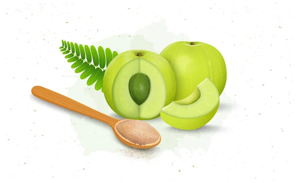 Ilustración Del Vector Fruta Grosella Verde India Amla Con Rodajas — Archivo Imágenes Vectoriales