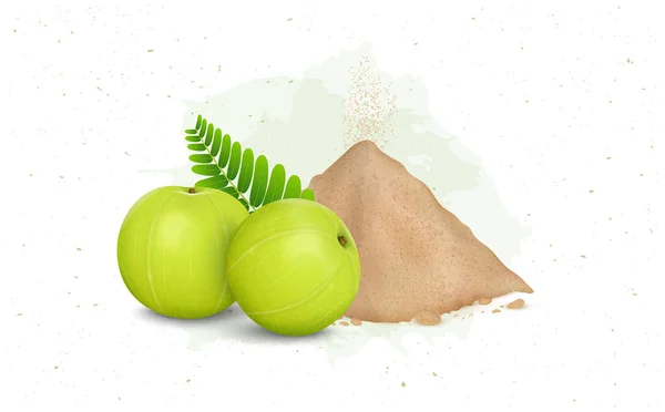 Amla Green Fruit Amla Powder Vector Illustration — Stock Vector
