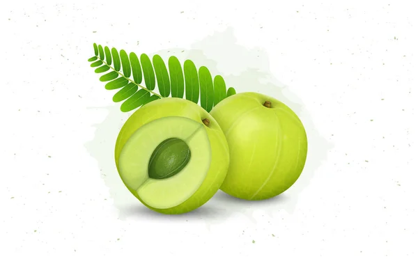 Gooseberry Indio Amla Ilustración Vector Fruta Verde Con Medio Pedazo — Vector de stock