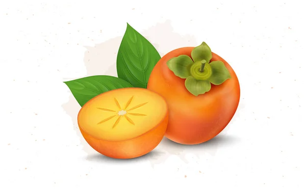 Persimmon Orange Frukt Vektor Illustration Med Halv Bit Frukt Skiva — Stock vektor