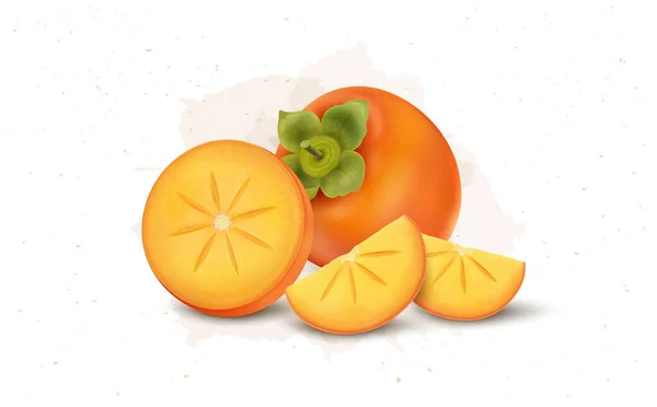 Persimmon Fruit Vector Illustratie Met Fruit Plakjes Stukken — Stockvector