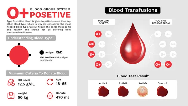 Características Positivas Grupo Sanguíneo Informação Adicional Desenho Imagem Vetorial — Vetor de Stock