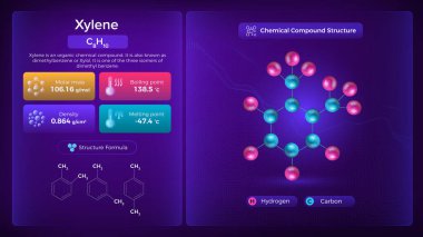 Xylene Properties and Chemical Compound Structure -  Vector Design
