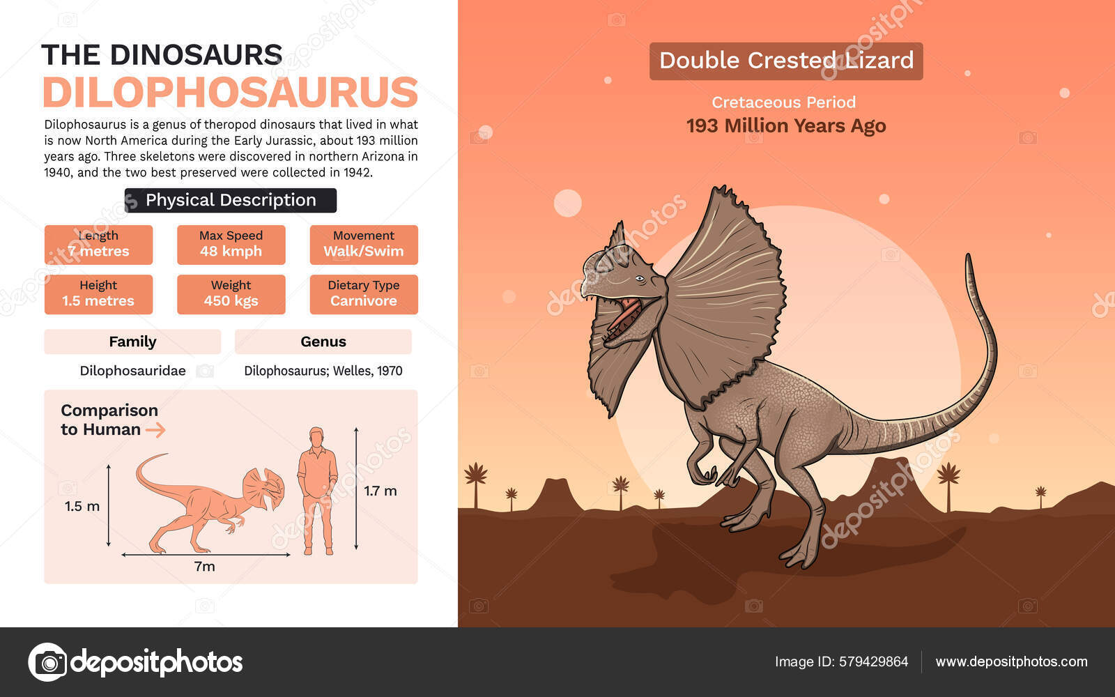 Description Physical Characteristics Dilophosaurus Vector Illustrations